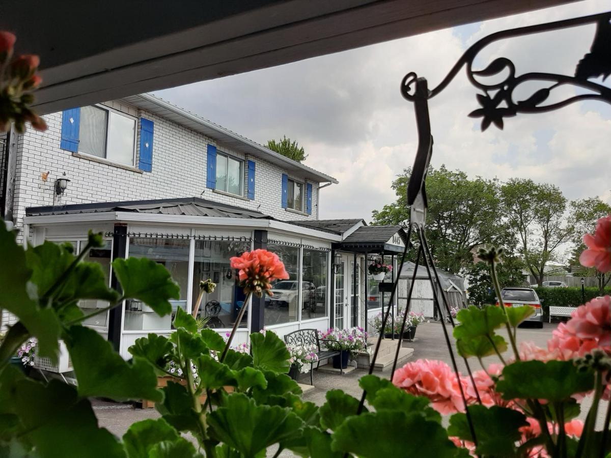尼亚加拉瀑布城 蓝月旅馆汽车旅馆 外观 照片